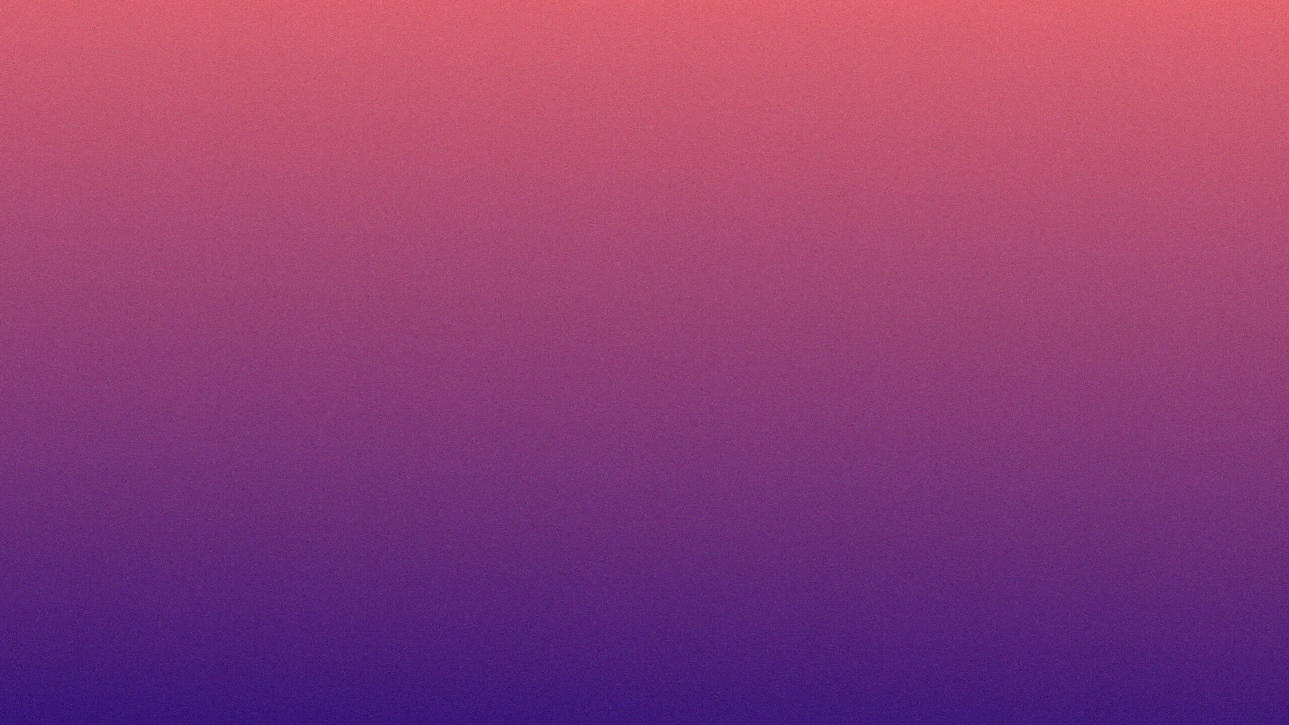 Pine 2560×1440 wallpaper