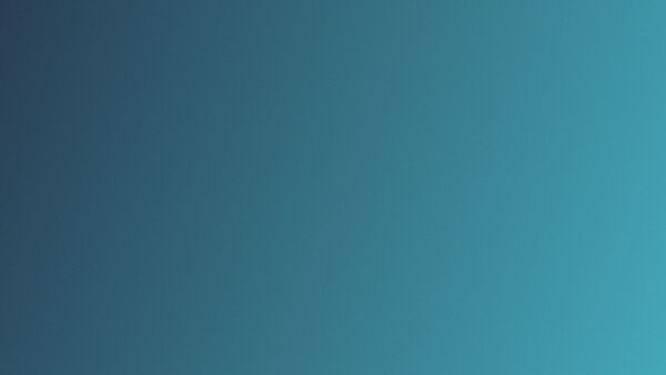 Juniper 2560×1440