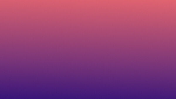Pine 2560×1440